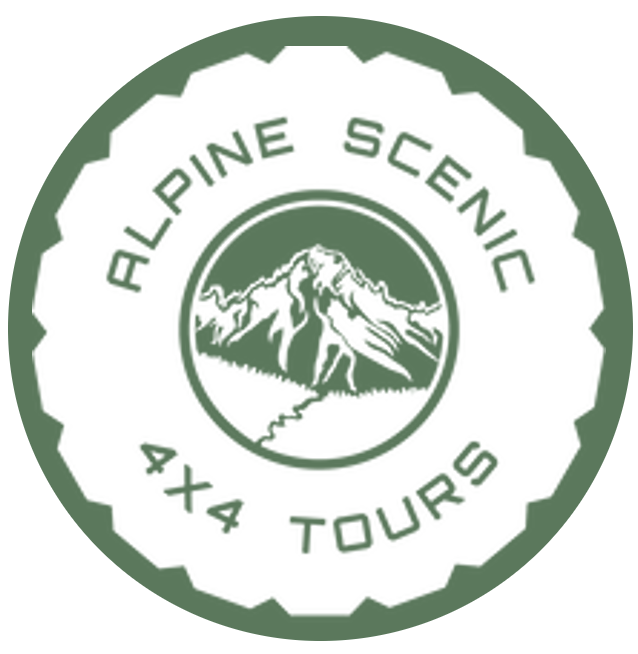 alpine scenic 4x4 tours logo