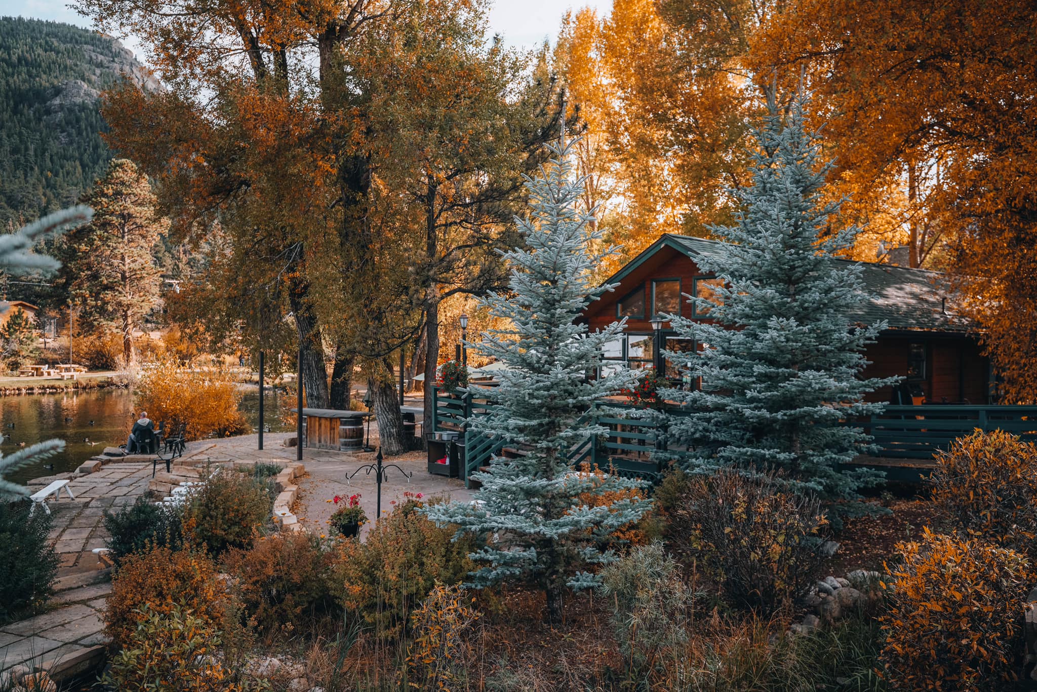 This location if the most unique spot to grab a cup of coffee.  But you won't want to grab and go.  One of the cutest experiences in Estes is to grab a latte at <yoastmark class=