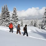 Aspen Mountain Snowshoe Tour