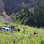 Yankee Boy Basin