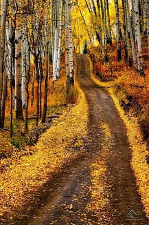 last dollar road in fall
