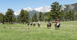 2 hour horseback trail ride