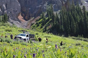 Yankee Boy Basin