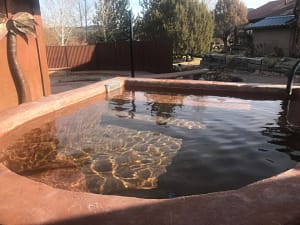 Cold Plunge