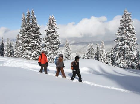 Aces Snowshoe Tour Snowmass