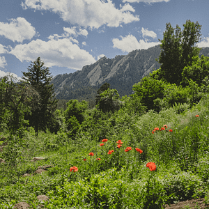 Geology Tour at Chautauqua Park