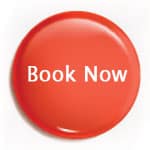 Book S&K Horses in Estes Park Book Now