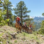 trail riding in the rocky mountains