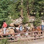 horses crossing a bridge on trail ride