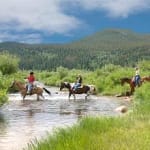 horses crossing river in rocky mountain national park