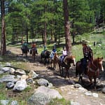 trail ride in RMNP