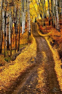 last dollar road in fall