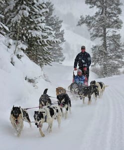Dogsledding