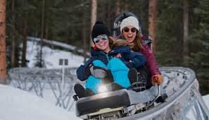 Breathtaker Alpine Coaster