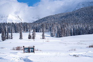 Cross country skiing