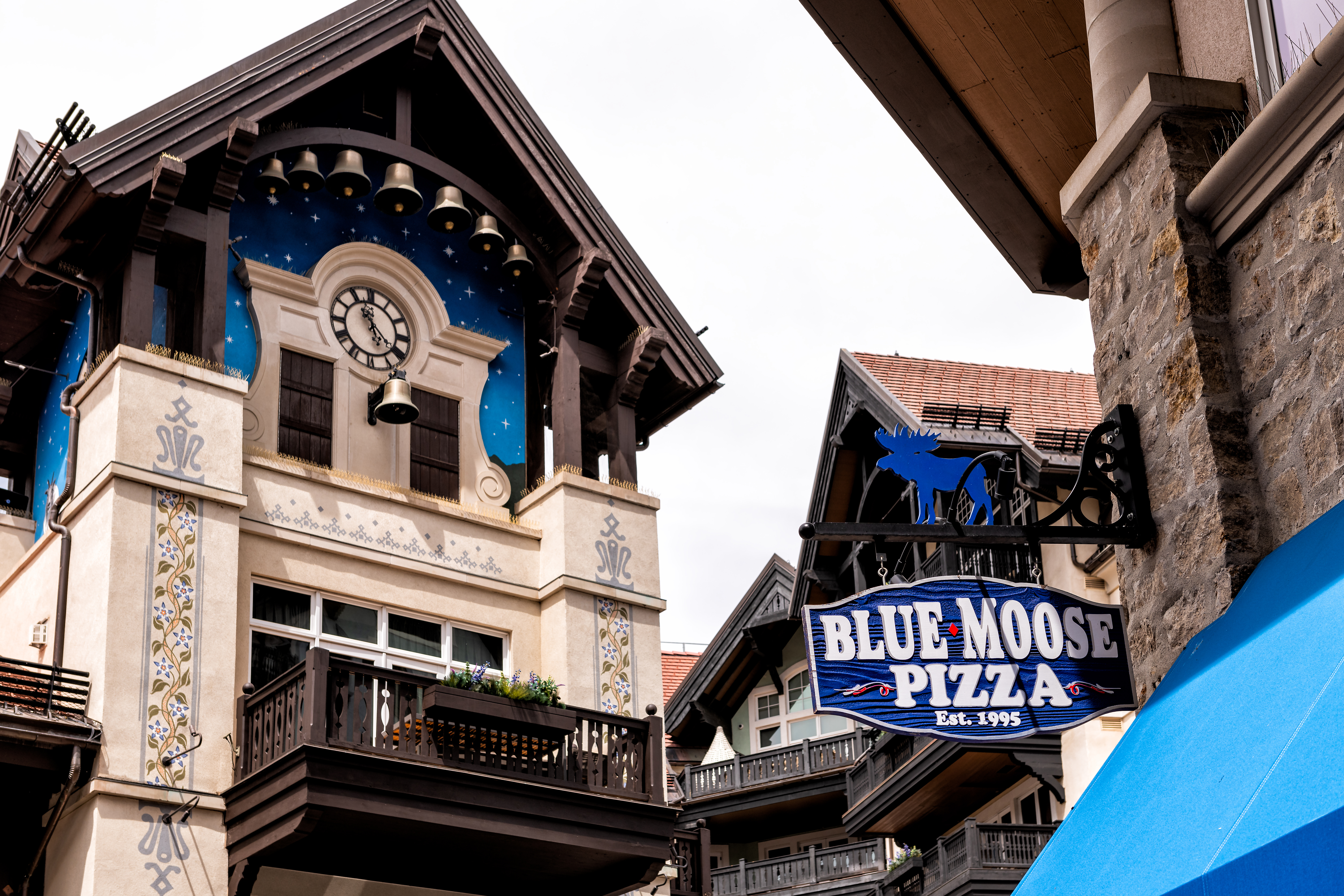 Dining Guide to Vail | Blue Moose Pizza