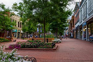 the Pearl Street mall in summer