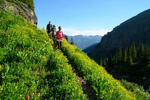 hiking through wildflowers in Telluride Colorado