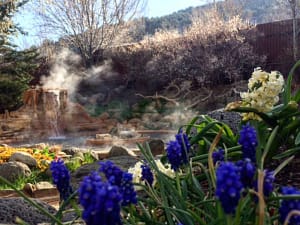 orvis hot springs view with flowers