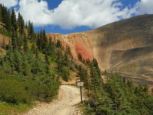 WEBSTER AND RED CONE PASS TRAIL