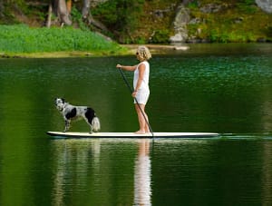 SUP with your dog